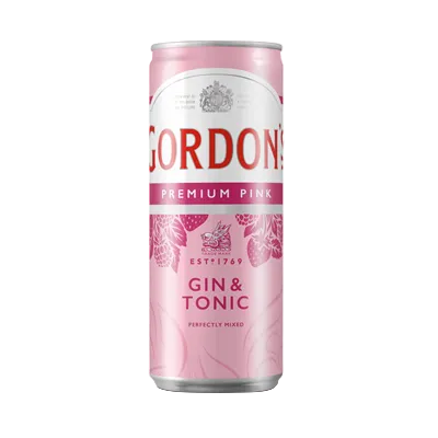Gordon's Pink Gin & Tonic 10 % Vol. - 250 ml