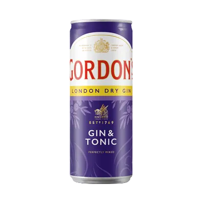 Gordon's Gin & Tonic 10 % Vol. - 250 ml